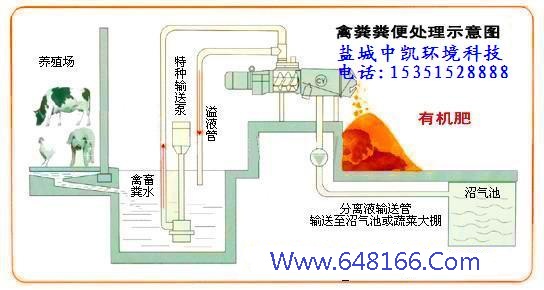 香蕉黄片大全示意图